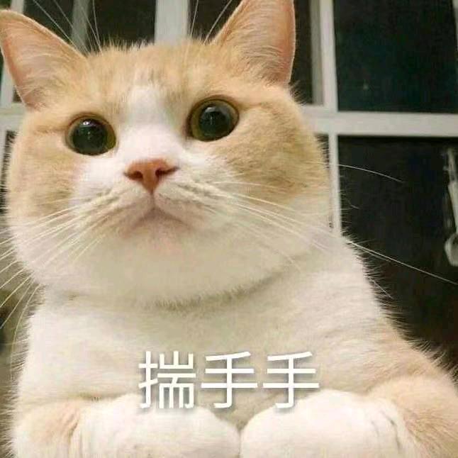 水水