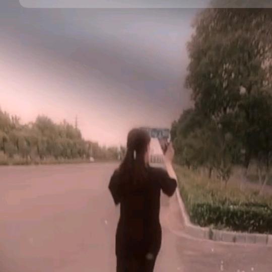 兰花草