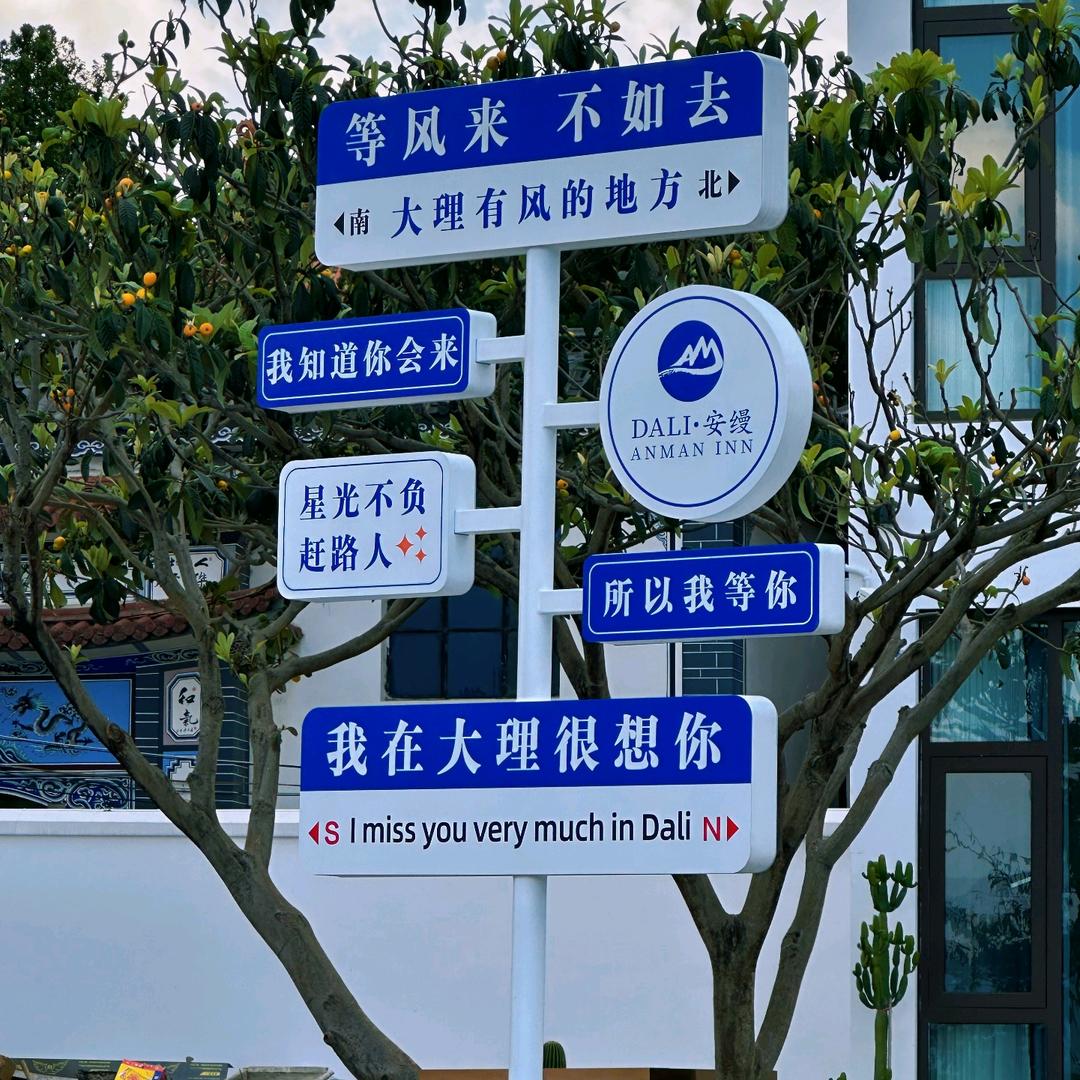 T多多