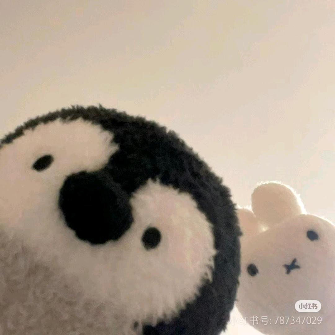 小谢要加油