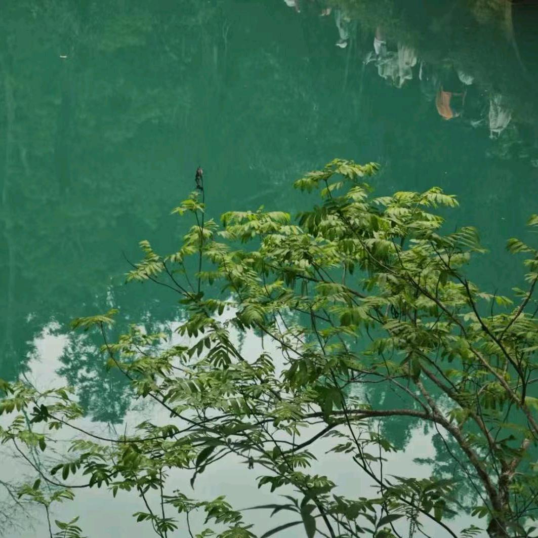 用户50267321972315
