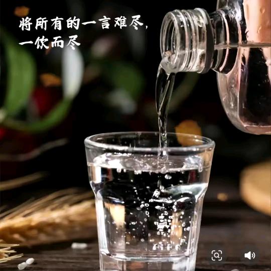 千杯不醉