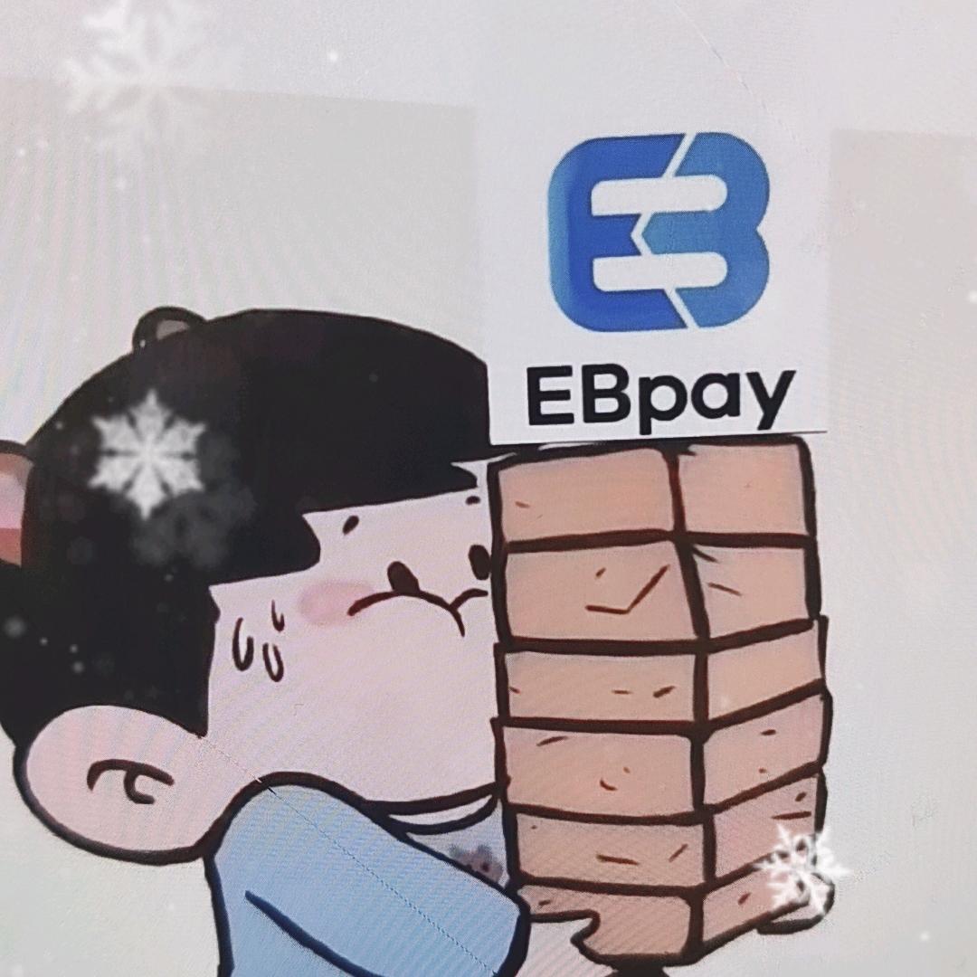 E/B/珊/珊pay