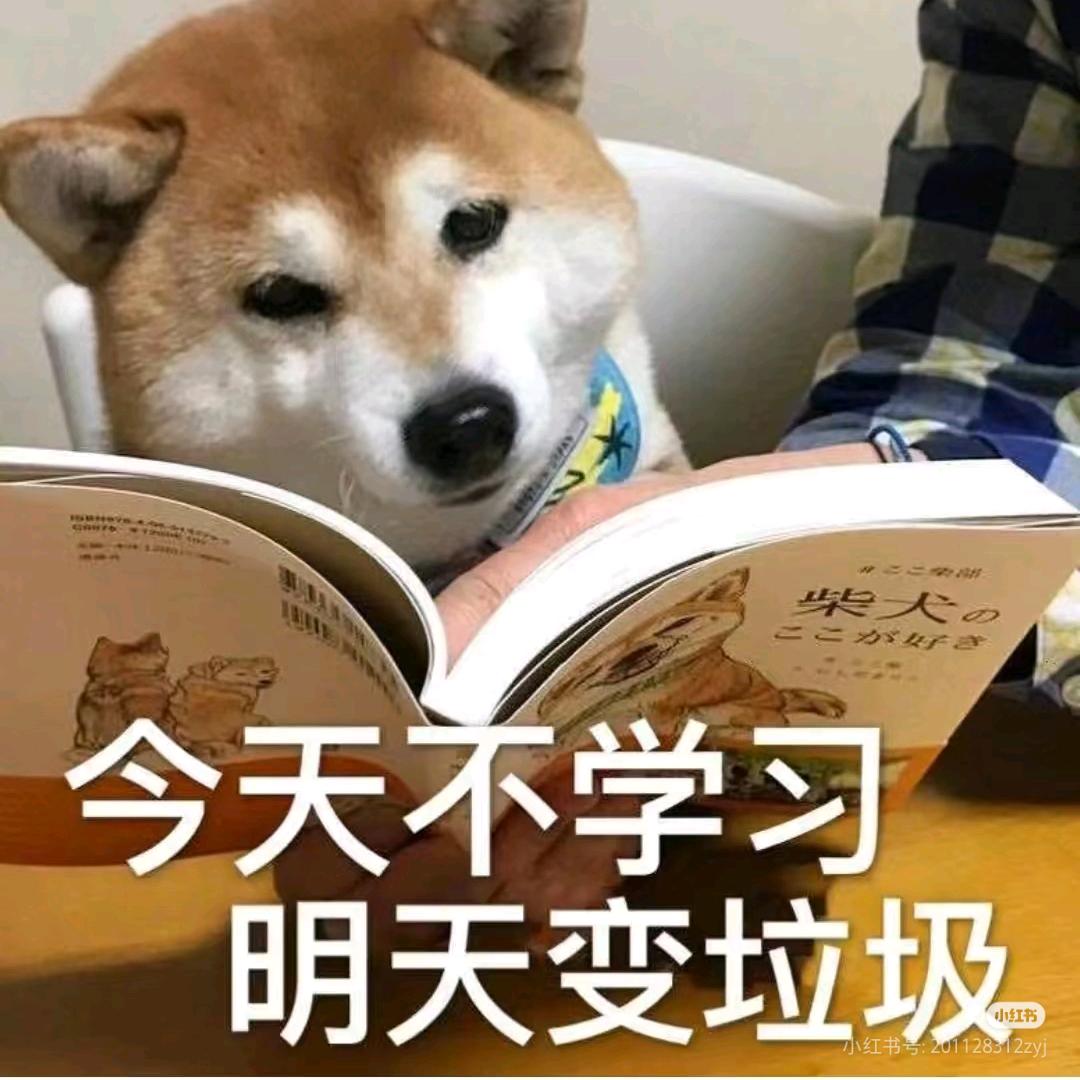 再不学习就被资本骑头上了