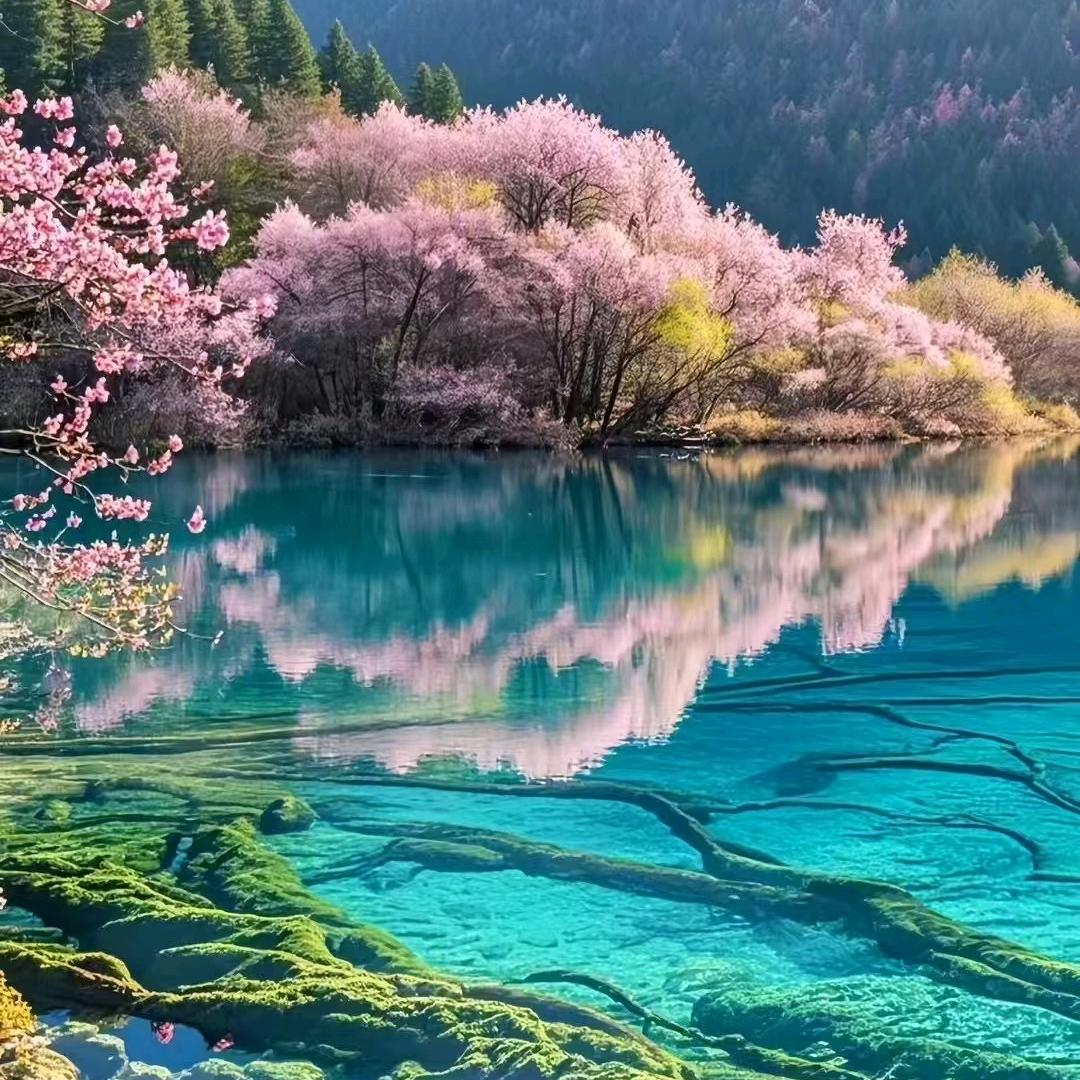 深谷野珍坊