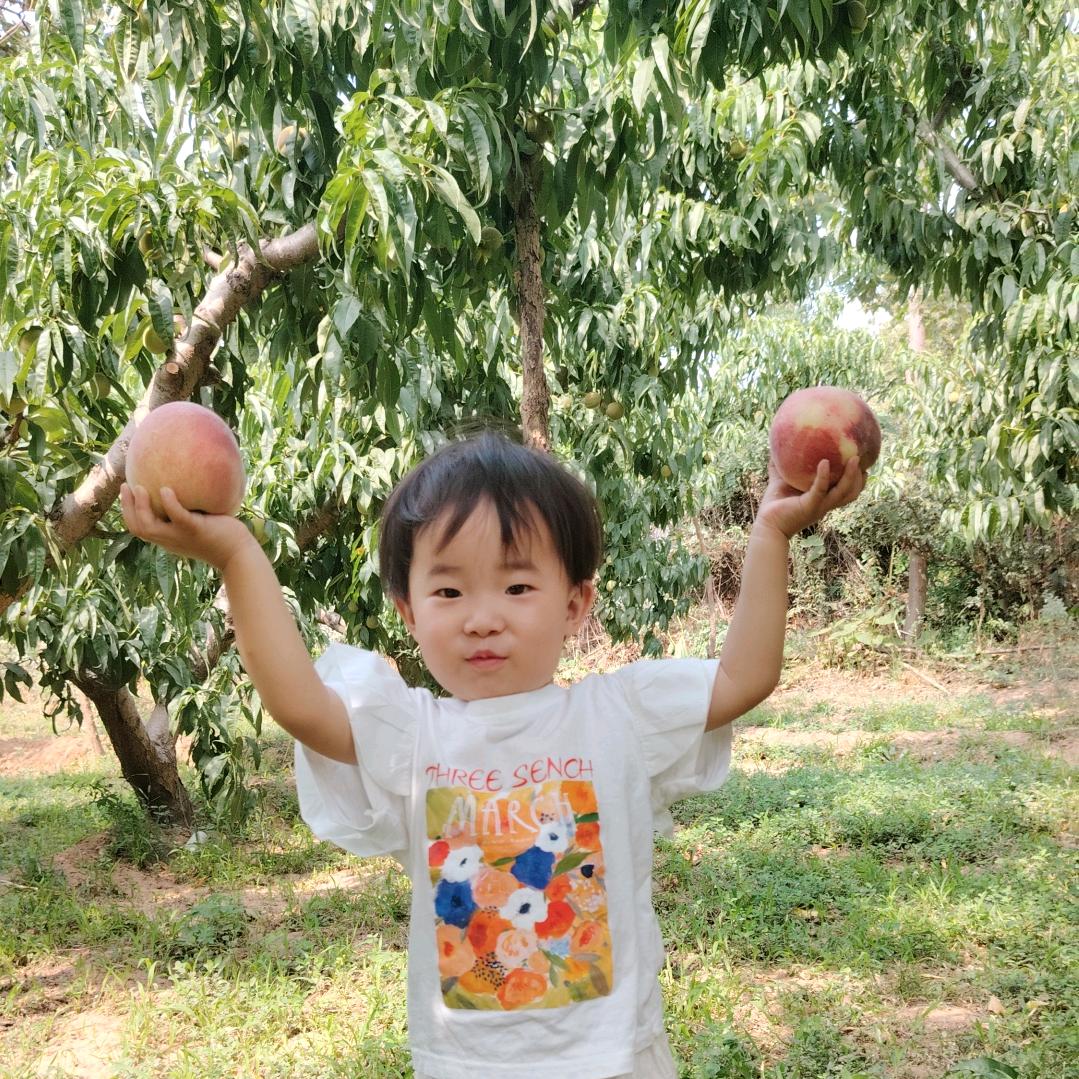 桃欢心