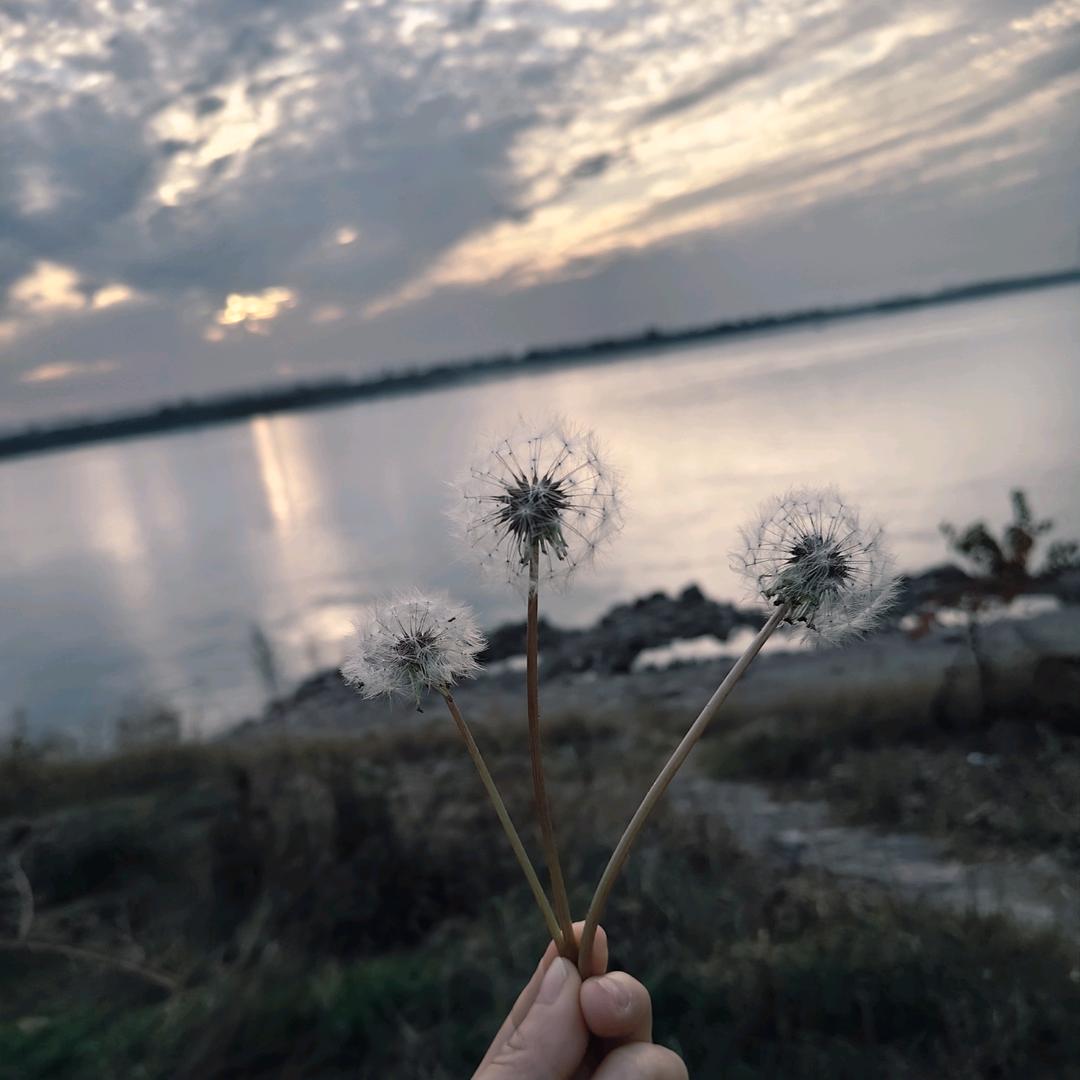 @朵朵爱吃糖🍬