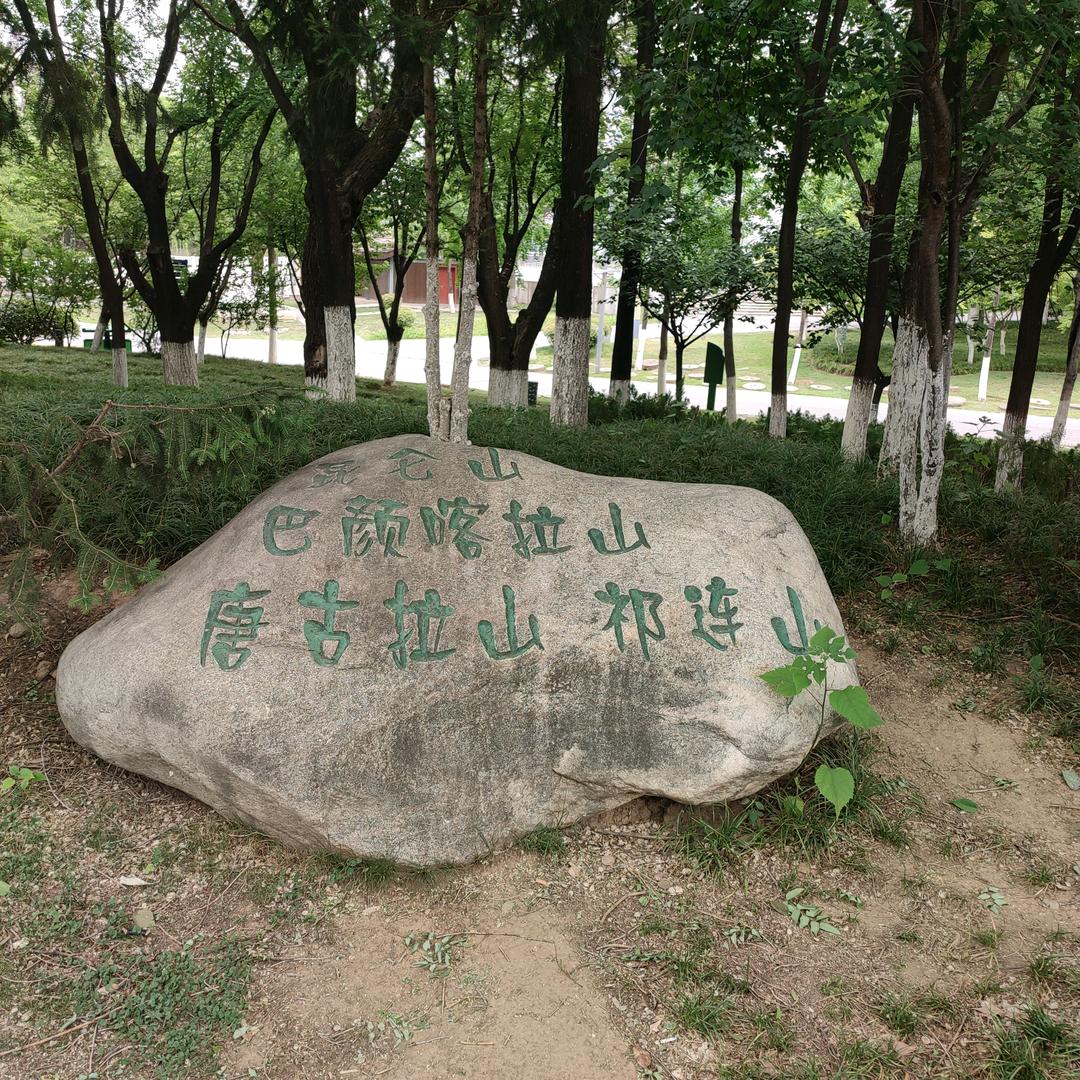 人生无悔