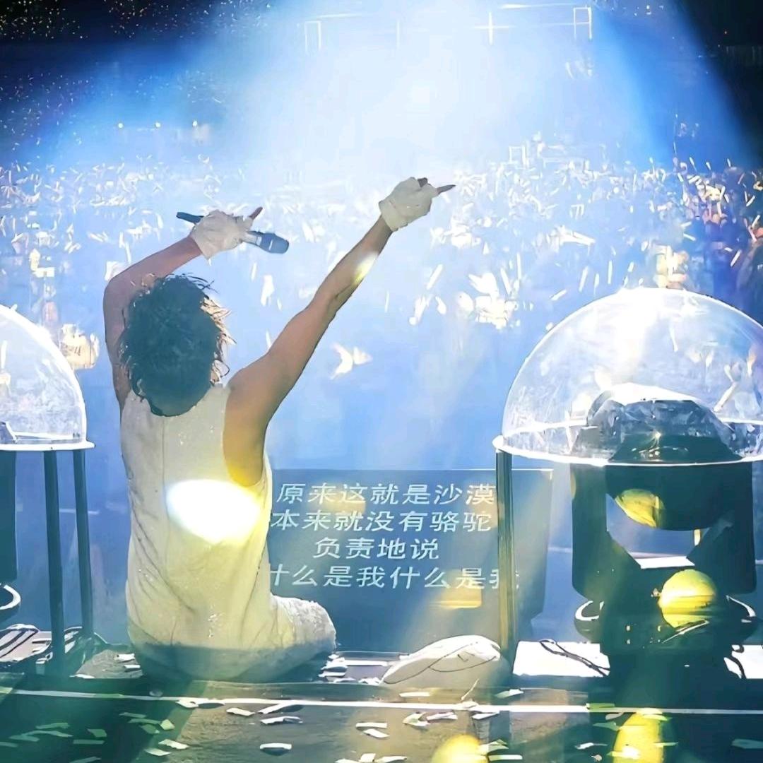 月亮反对流浪