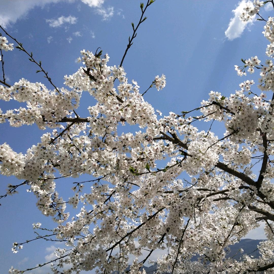 天空微晴