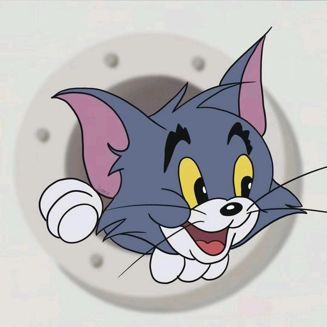 抓不住杰瑞的汤姆