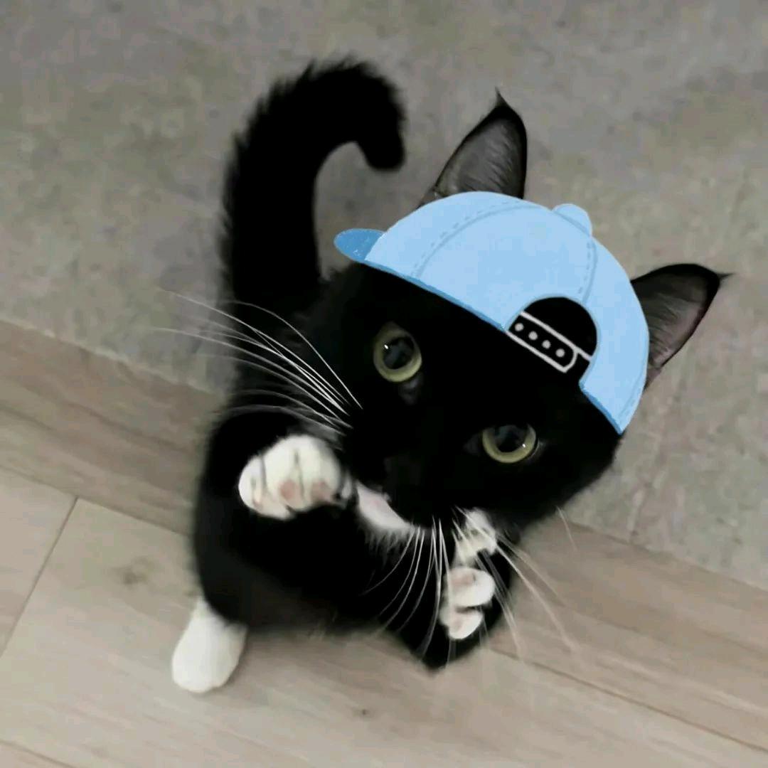 ⍤