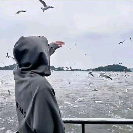 顾辞