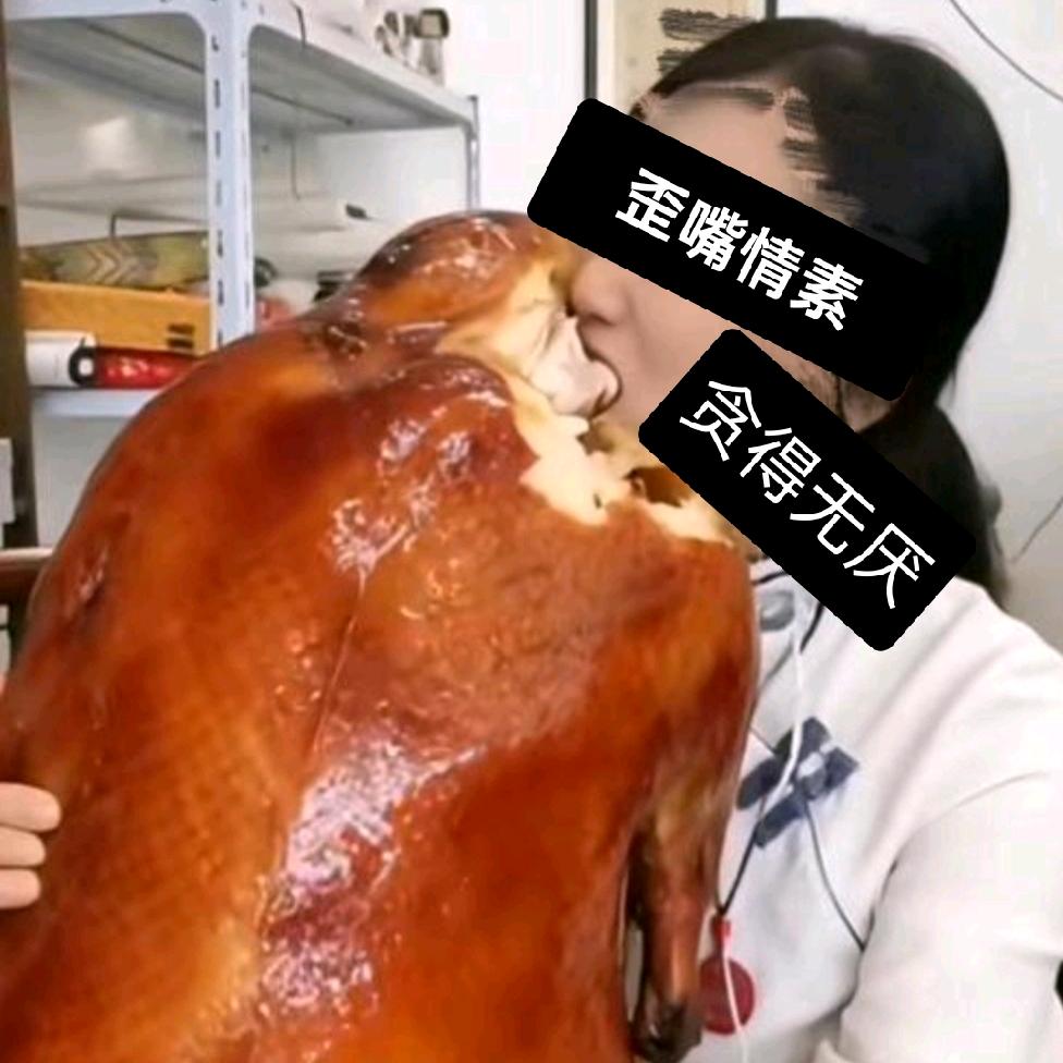 小流浪狗