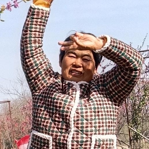黎大姐