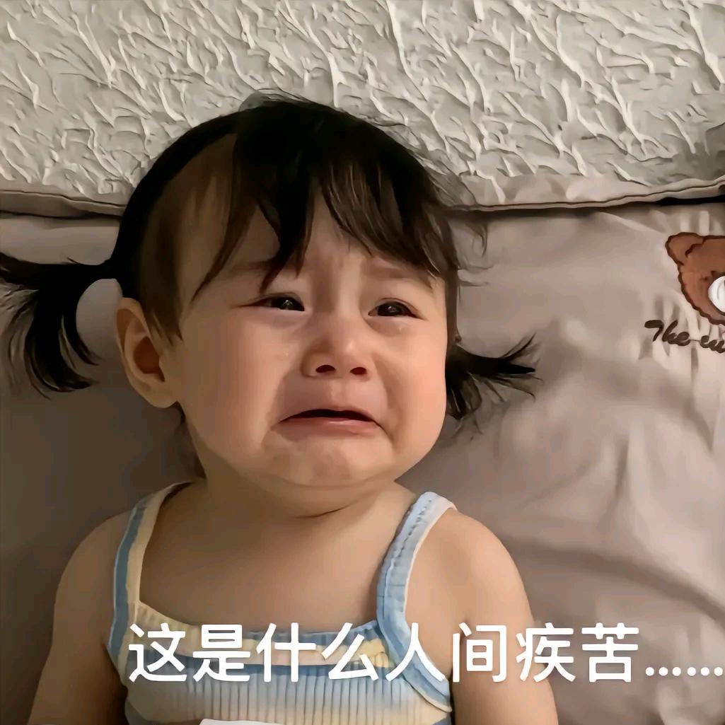 追蜂的小卡拉米