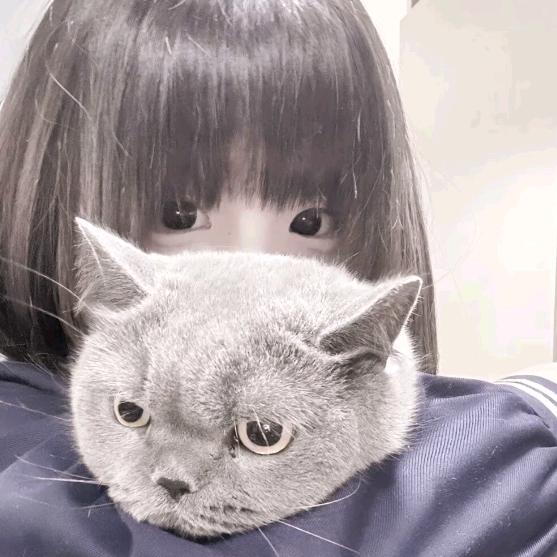 Kitty