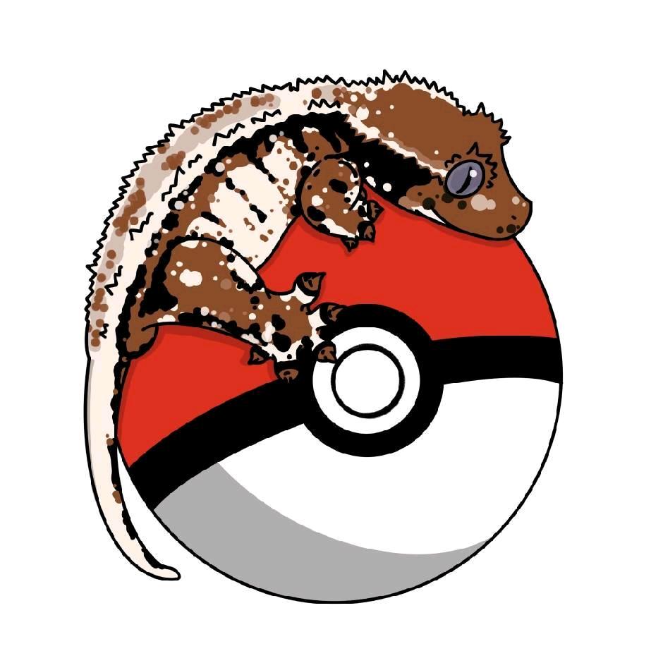 硕士爬宠实验室的店