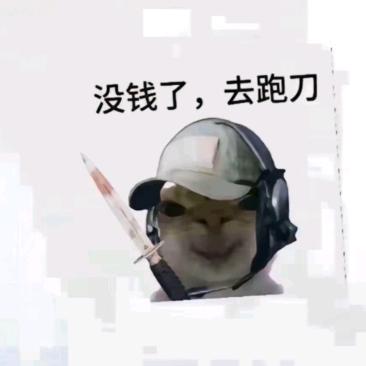 一顿（三角洲）