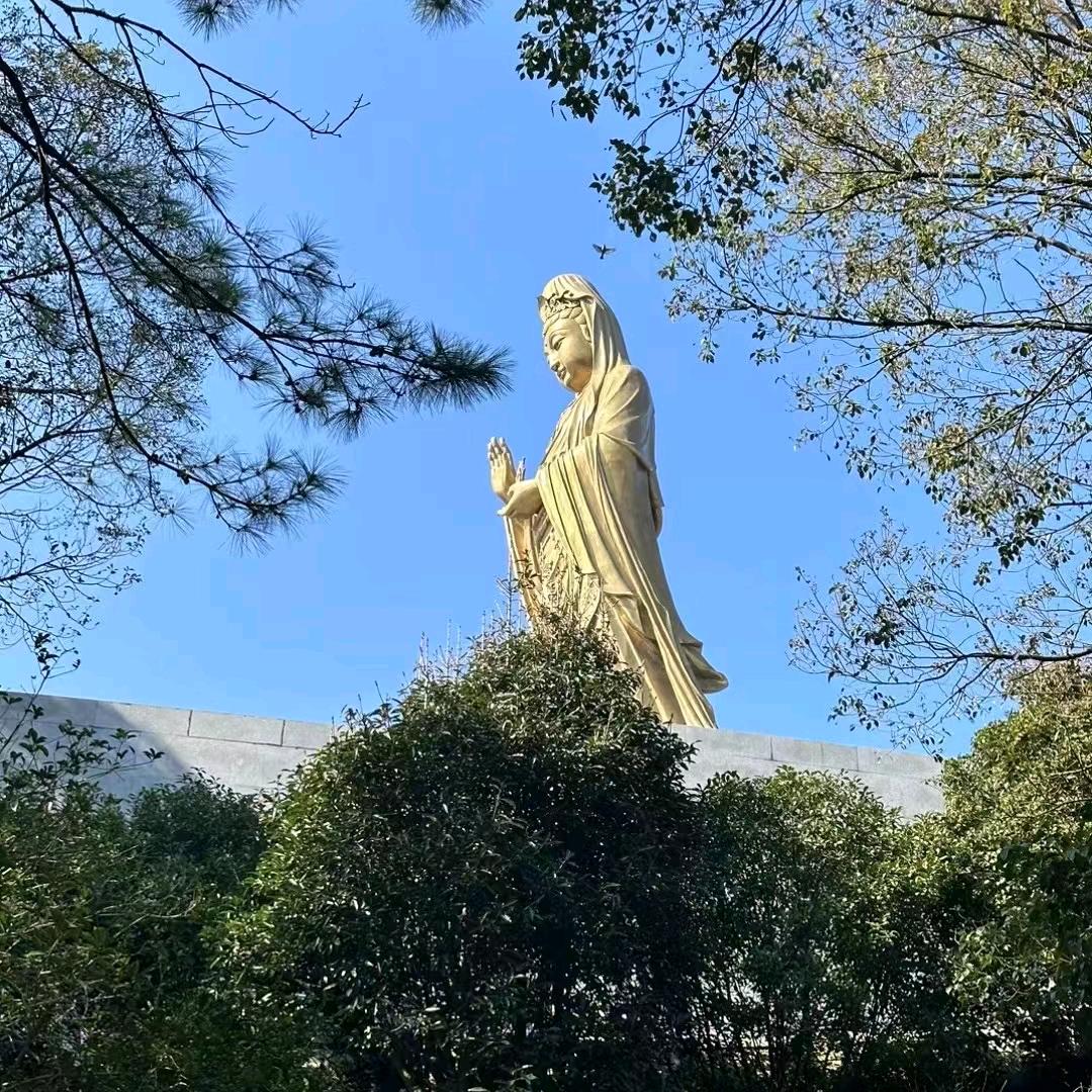 问鼎