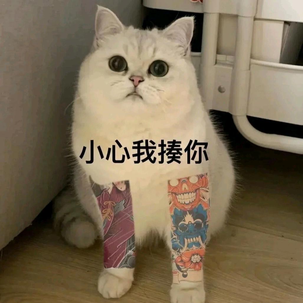 十三 .
