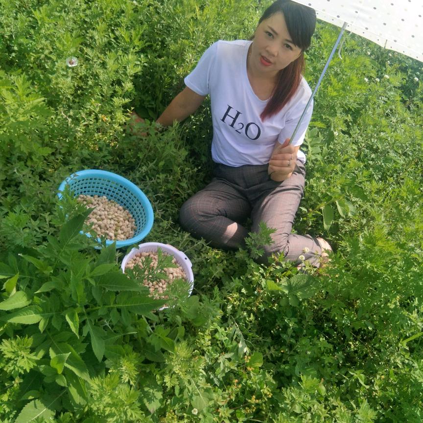 阳光灿烂的春天