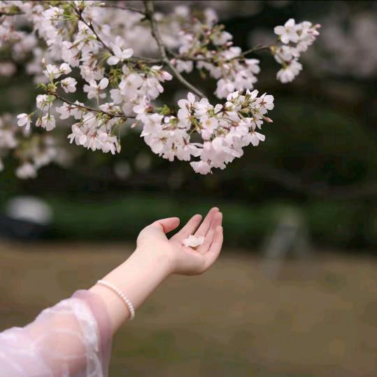雲影