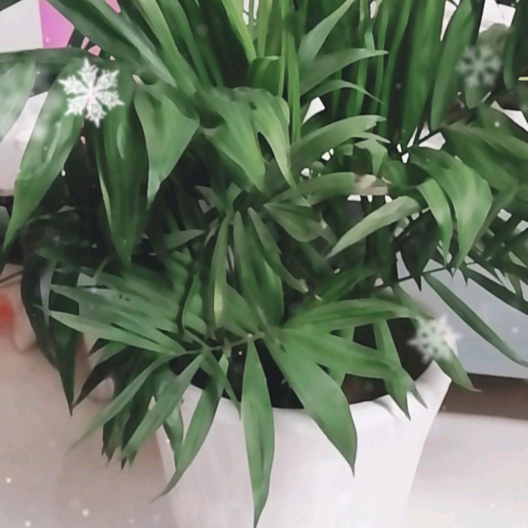 幸福平安