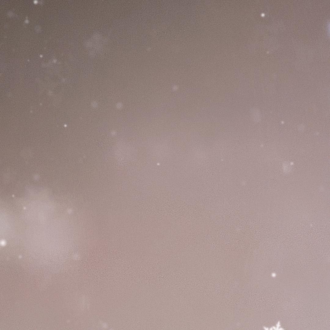 风羽