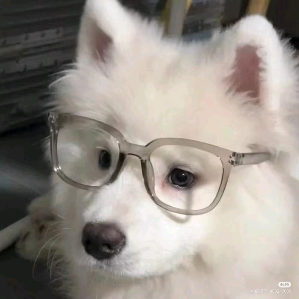 你ooc了