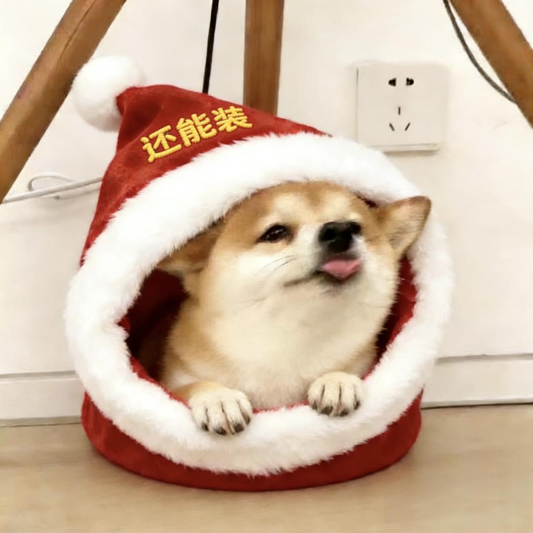 怪才毛衣