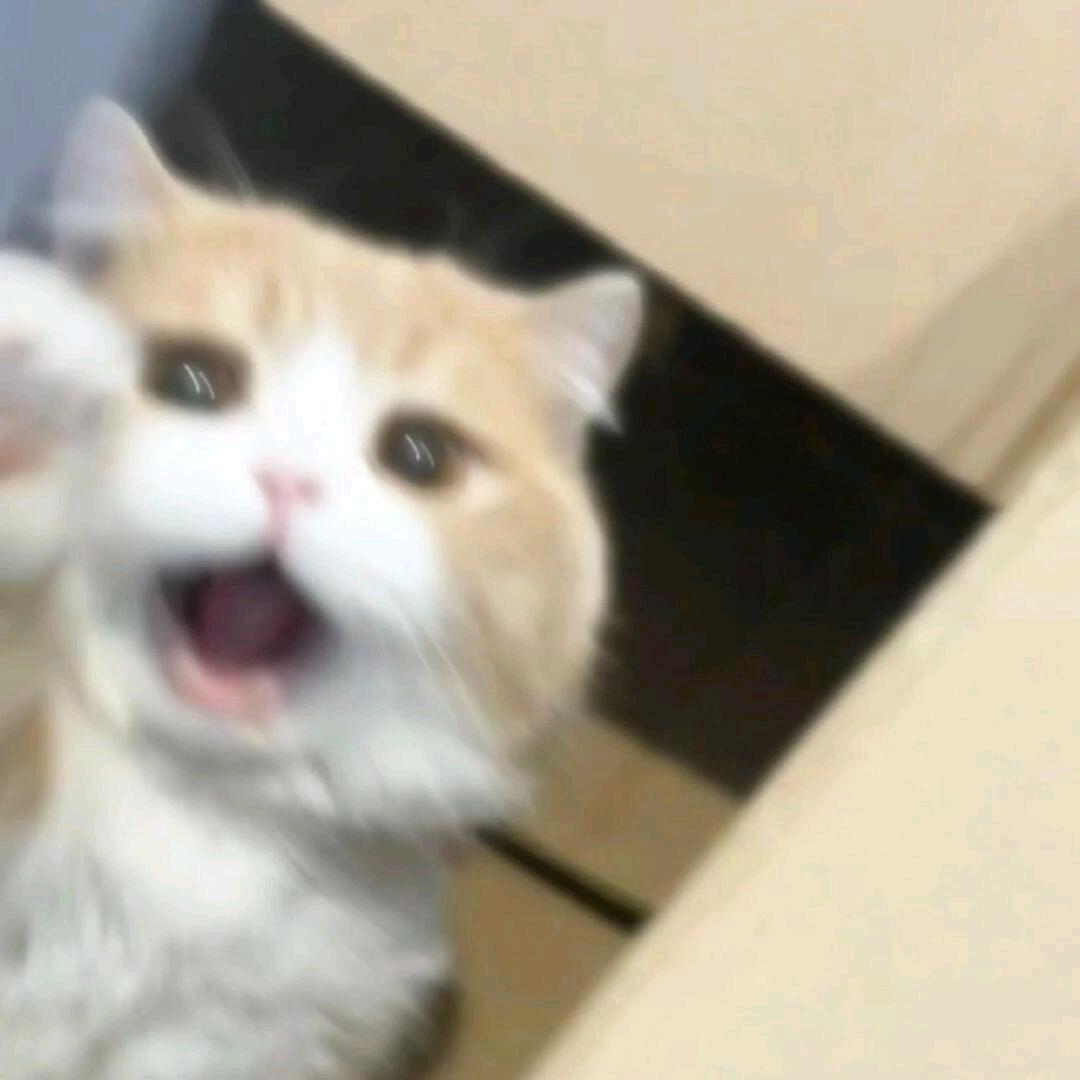开心果(⑉°з°)-♡