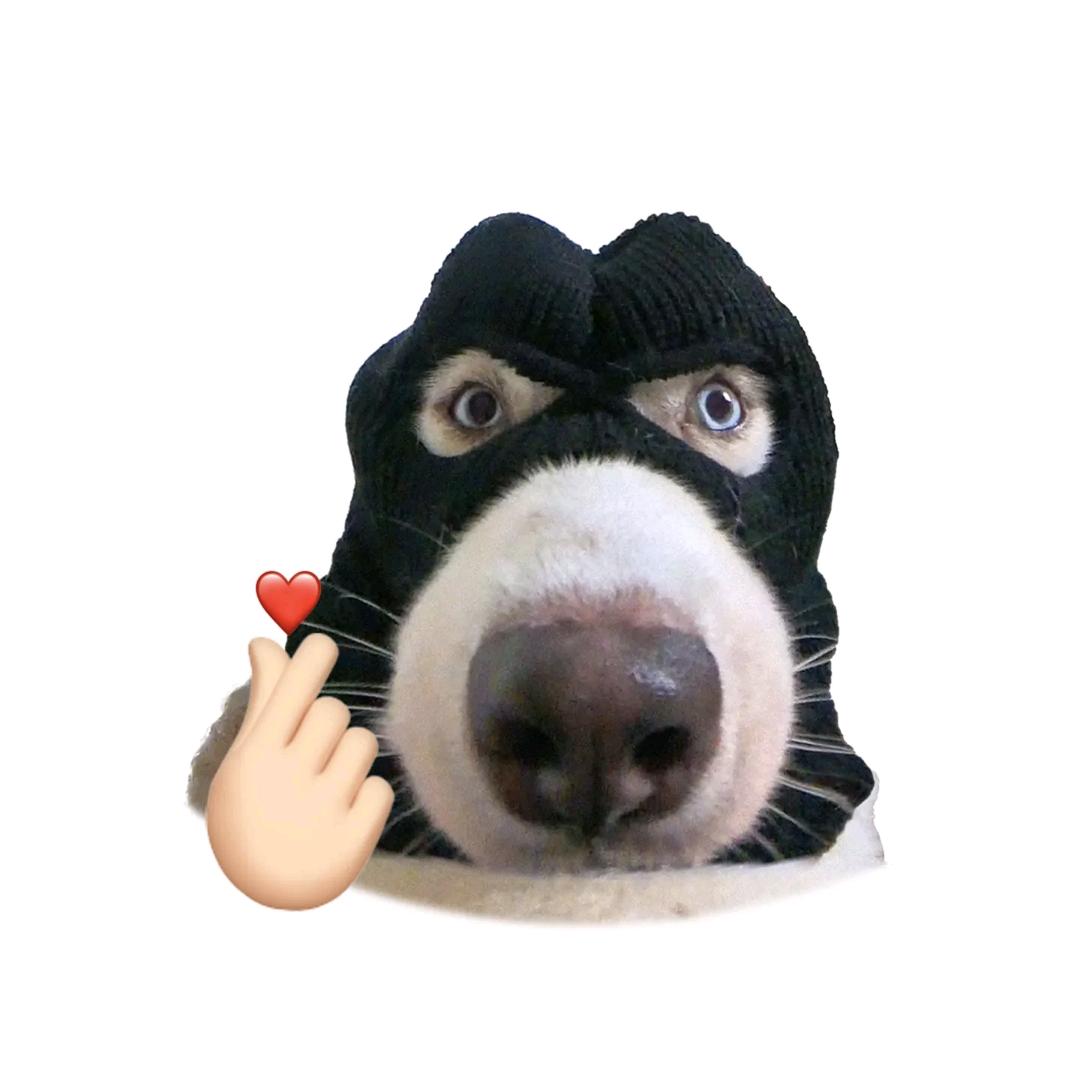 呆毛 ༠油画棒（接定制）