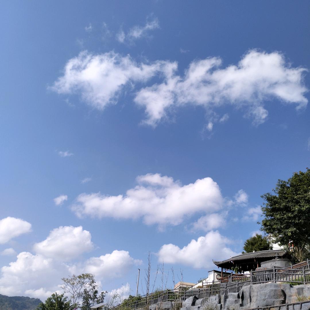 清醒