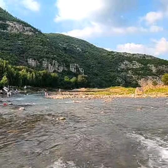 小鱼