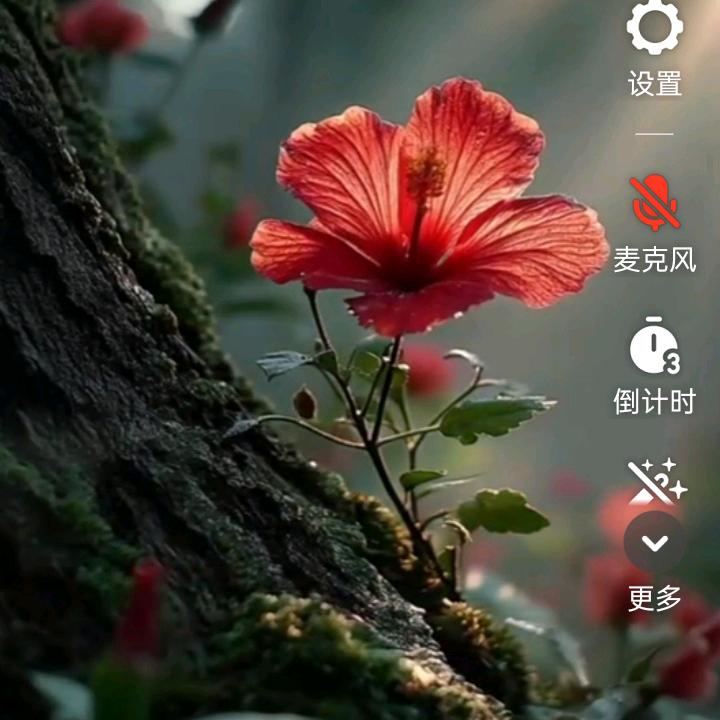 人生不易