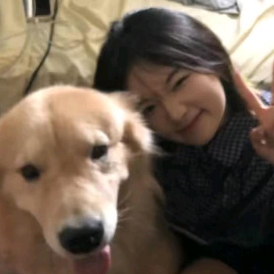 毛毛
