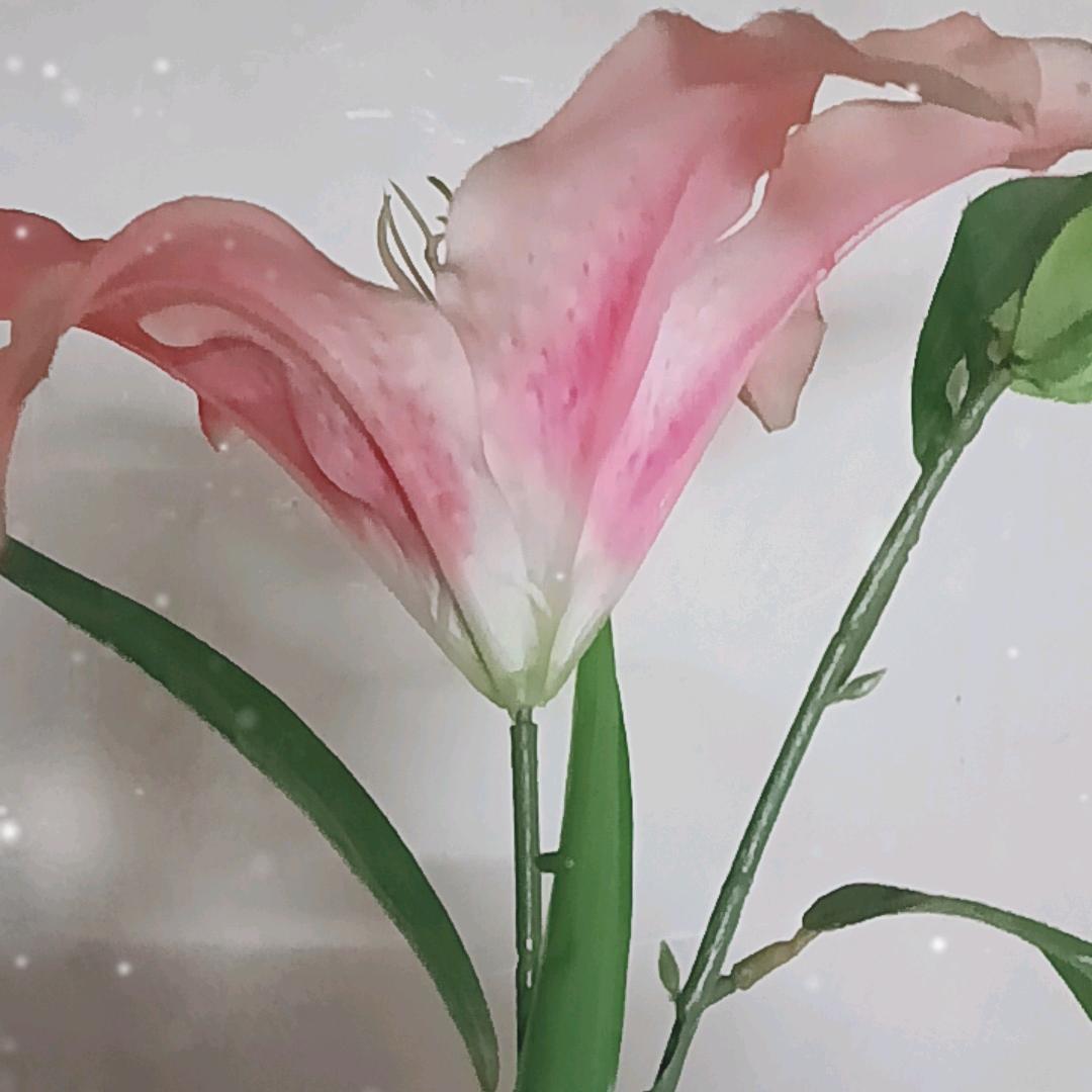 一生有你