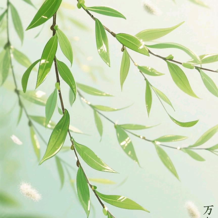 小滕同学