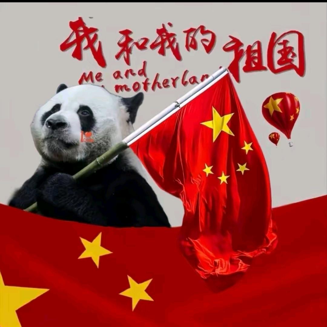 摇摆的向日葵🌻