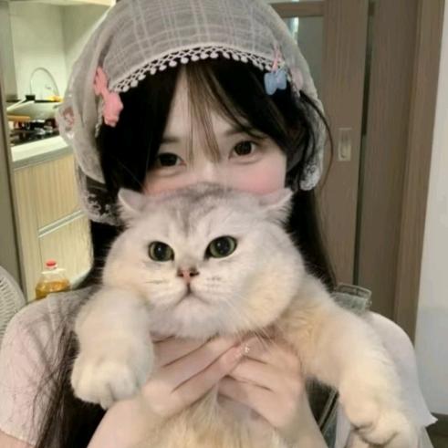 星掫的穿戴甲（手工定制）