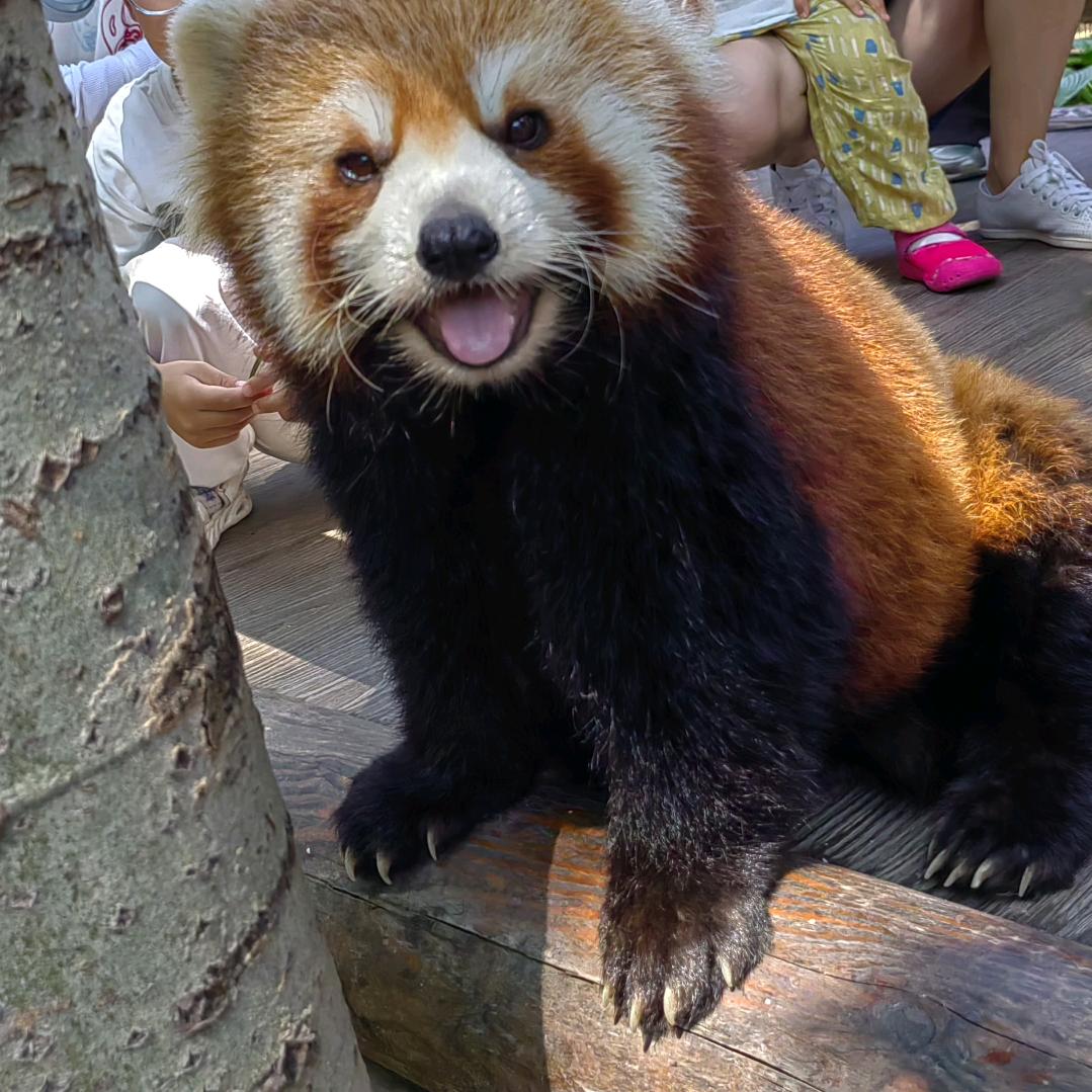 大磊哥～