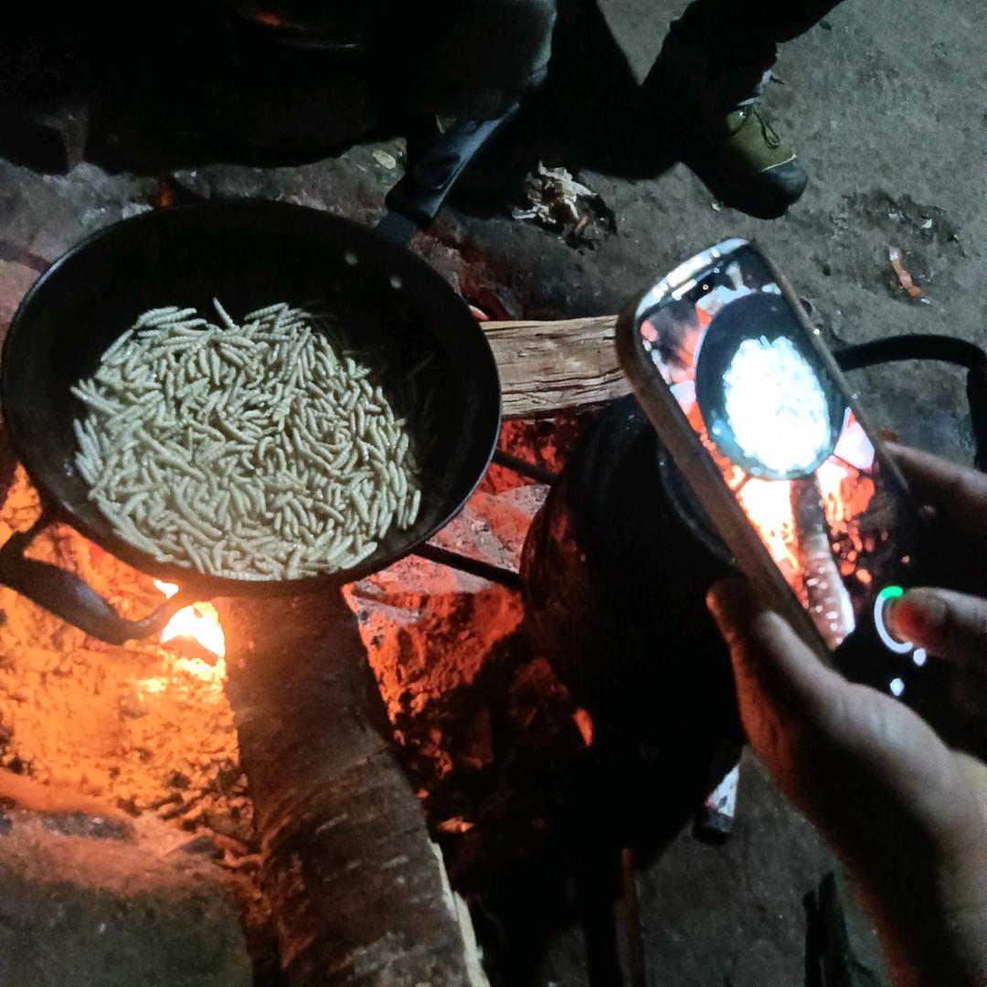 飞飞小红鱼🐟🐟
