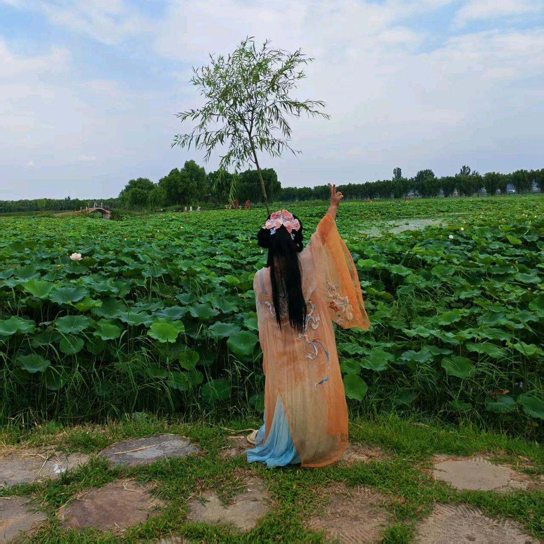四季如花