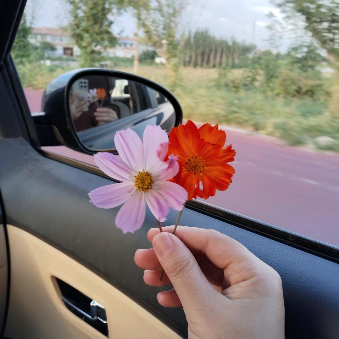 晓美美
