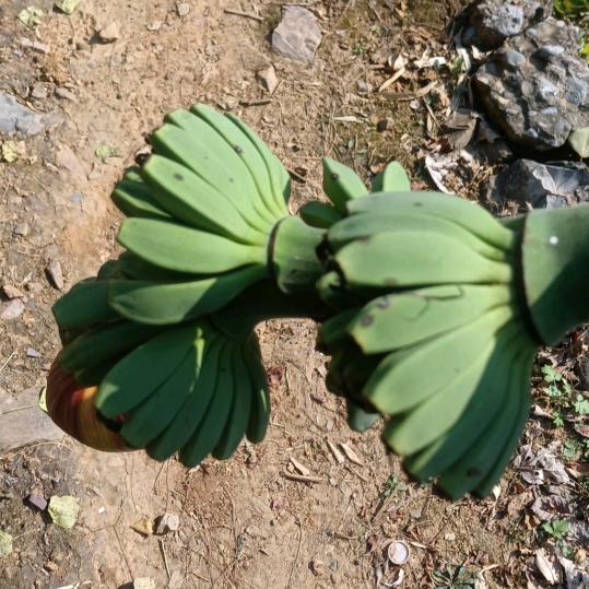 只看不刷，恩施家电维修