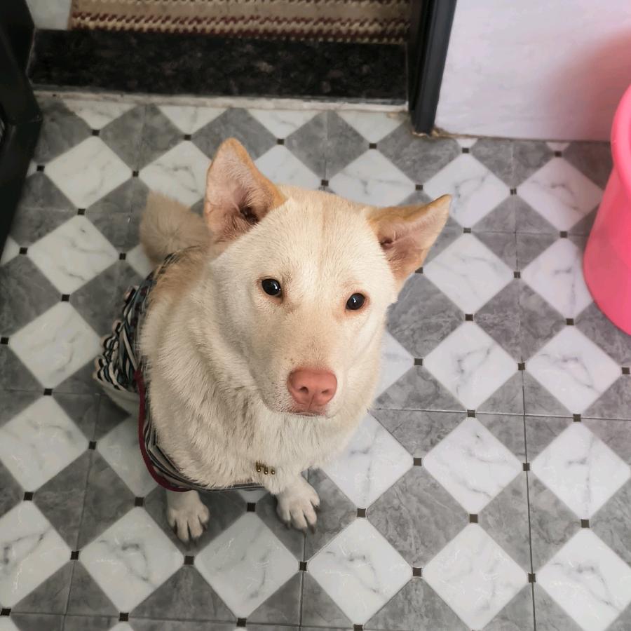 普宁最后一个贫困户