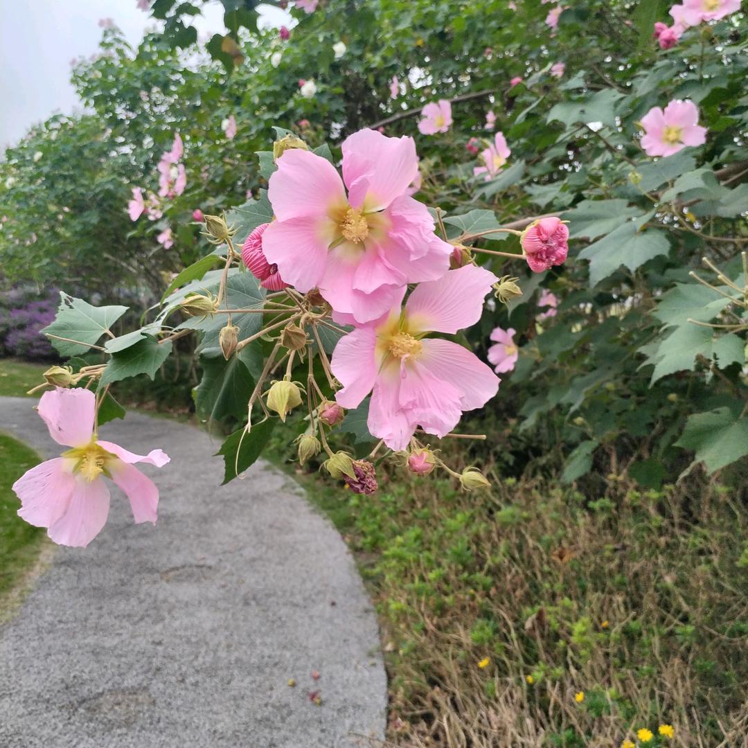 自由自在