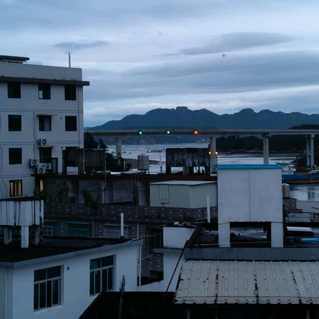 陈皇