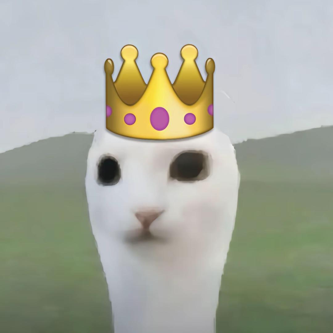 Q_pig🌙